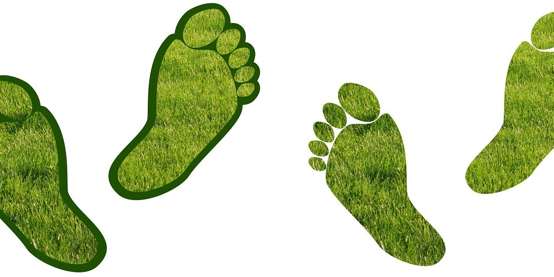 Ecologische voetafdruk: hoe kan ik het verschil maken?