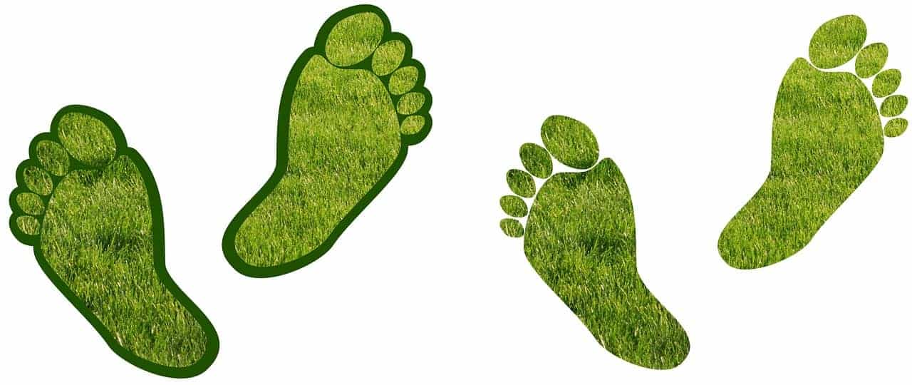 Ecologische voetafdruk: hoe kan ik het verschil maken?